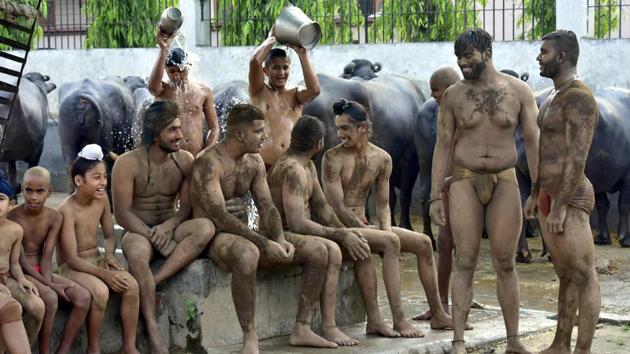 For the last 58 years, trainees of kushti (mud wrestling) gather at 4am daily at a wrestling arena popularly known as akhada, at Alamgir village in the outskirts of Ludhiana. (Gurpreet Sigh/HT)