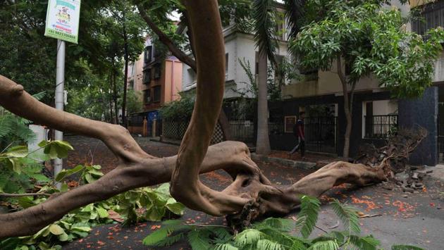 Since the arrival of pre-monsoon showers, the BMC authorities have been reportedly received more than 90 complaints of toppled trees in various parts of the city. Death of two people due to electrocution has also been reported. (Bachchan Kumar / HT Photo) Since the arrival of pre-monsoon showers, the BMC authorities have been reportedly received more than 90 complaints of toppled trees in various parts of the city. Death of two people due to electrocution has also been reported. (Bachchan Kumar / HT Photo)