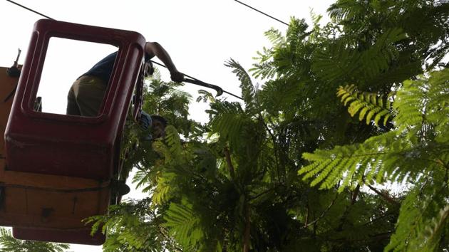 A civic employee cuts branches off a tree at Vashi in Navi Mumbai. As a part of precautionary measure, civic officials are getting trees trimmed across the city to minimise damage from fallen branches. (Bachchan Kumar / HT Photo)