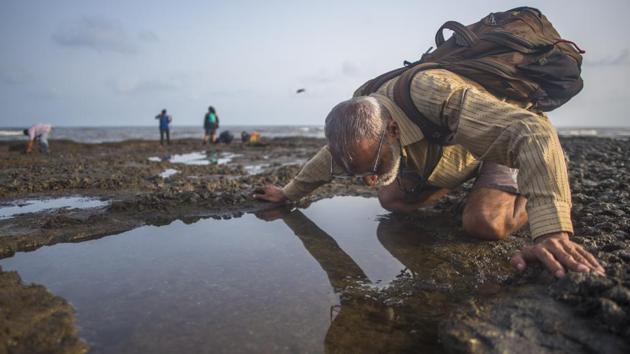 Self-taught marine biologist Pradip Patade scans an intertidal pool for signs of marine life at Priyadarshini Park in Mumbai. Marine Life of Mumbai, a collective, has documented over 250 marine species, including 40 crustaceans, 30 snails, seven types of corals, and several other marine species. (Pratik Chorge / HT Photo) Self-taught marine biologist Pradip Patade scans an intertidal pool for signs of marine life at Priyadarshini Park in Mumbai. Marine Life of Mumbai, a collective, has documented over 250 marine species, including 40 crustaceans, 30 snails, seven types of corals, and several other marine species. (Pratik Chorge / HT Photo)