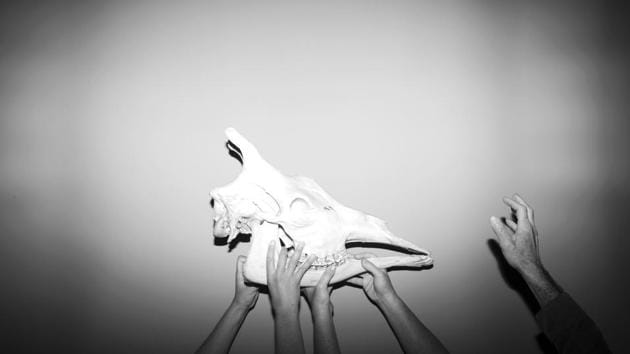 Exhibitors hold up a giraffe skull. But the animals never did appear to be dead in the room with little air or daylight.They were stuffed into poses taken from the lives they once lived. A bear seemed to prowl the room, as a cheetah looked like it was chasing its prey. (Oded Balilty / AP) 