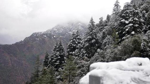 Bad weather in the state left a group of trekkers stranded at Sanjal Sarovar lake in Uttarakhand’s Rudraprayag district.(File Photo/Representative image)