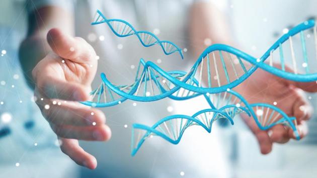 This gene is responsible for male sex development.(Shutterstock)