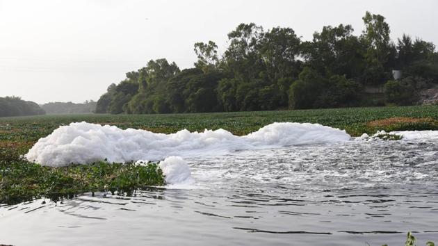 During the past few years, untreated sewage, industrial waste and garbage have flown unchecked into Mula and Mutha rivers, further deteriorating the already bad quality of river water.(HT PHOTO)