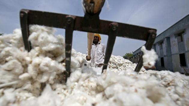 A Coimbatore-based expert says they are heading to Karnataka, Telangana, Maharashtra and Gujarat to purchase cotton due to lack of adequate quantity in Tamil Nadu. (Reuters File Photo) A Coimbatore-based expert says they are heading to Karnataka, Telangana, Maharashtra and Gujarat to purchase cotton due to lack of adequate quantity in Tamil Nadu. (Reuters File Photo)
