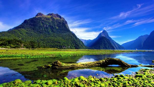 Mirror Lakes along the way to Milford Sound, New Zealand.(Shutterstock)