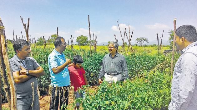 Abhay Shendye (fourth from left) of Swasti Agro interacts with farmers of Dharur, near Solapur in a pomegranate field. (HT PHOTO) Abhay Shendye (fourth from left) of Swasti Agro interacts with farmers of Dharur, near Solapur in a pomegranate field. (HT PHOTO)