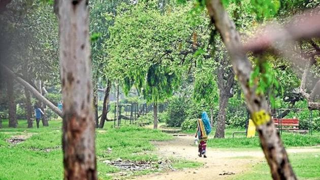 The reduction in open defecation has led to improvements in the overall anaemic status among pregnant women.(Ravi Chaudhary/Hindustan Times)