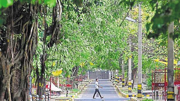 A view of green cover near government quarters at Sarojini Nagar in New Delhi.(Sanchit Khanna/HT File Photo)