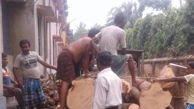 Workers take away the trees that were cut around the house of Beldanga Municipality chairman Bharat Jhawar in in Murshidabad district. (HT Photo) Workers take away the trees that were cut around the house of Beldanga Municipality chairman Bharat Jhawar in in Murshidabad district. (HT Photo)