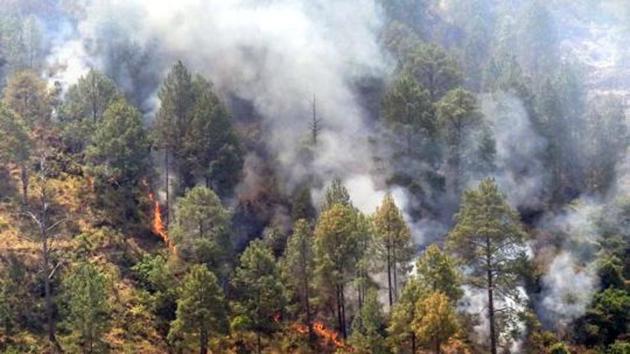 Although the official forest fire season is over, sporadic incidents of fire are still being recorded from different parts of the state. Officials say there hasn’t been enough rainfall this year.(HT/File Photo)