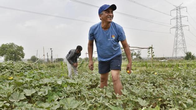 Dheeraj Garg, loves grown produce from the patch. What brings these corporates, who work in multinational companies and live in upscale localities, together, is an eagerness to cultivate their own vegetables and also a concern that their families are eating fruits and vegetables contaminated with pesticides and chemical fertilisers. (Sanjeev Verma / HT Photo)