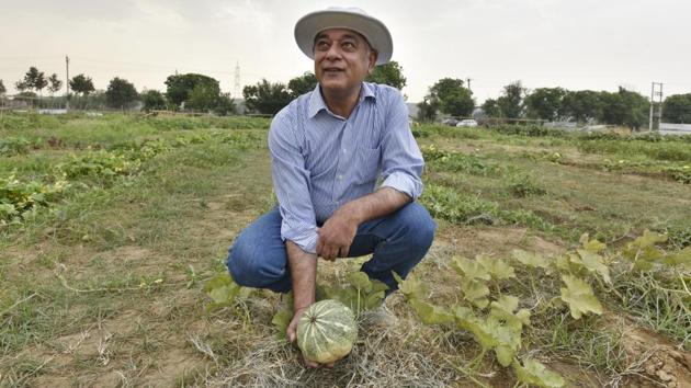 Around 52 Gurugram-based families such as Rajeev’s have embraced urban organic farming by leasing out land from local farmers to grow vegetables and fruits. “The feeling of growing something from scratch cannot be matched by anything else,” said Nidhi, who claims she was among the first people to start farming at the location. (Sanjeev Verma / HT Photo)
