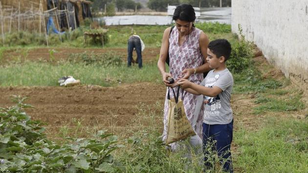 The members’ children also get their hands dirty in the farms on weekends. “My eight-year-old son starts jumping around early morning on weekends, asking us to take him to the farm. It’s a nice getaway from the city too,” a member, who lives in South City 1, said. (Sanjeev Verma / HT Photo)