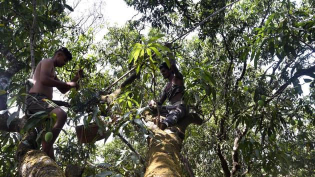 The incident took place in Shergarh village under Gogri area of Khagaria district with high rate of crime (HT File Photo)