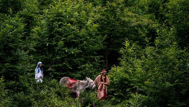 Actors depicting Mary and Joseph walk a donkey during the first act in a production of ‘The Life of Christ’ by the Wintershall Estate in Guildford, England. (Chris J Ratcliffe / Getty Images)