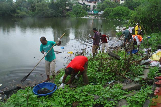 Volunteers collect garbage from the waterbody near the Charkop mangroves.(HT Photo)