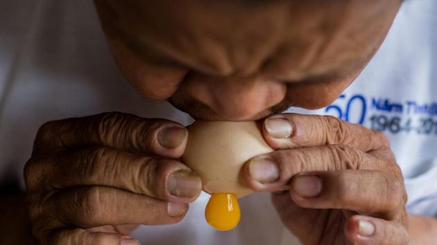Nguyen Thanh Tam blows out an egg yolk as he prepares a shell for a model of Zabivaka, the 2018 Russian World Cup mascot. Most of his recent statues are of tournament mascot Zabivaka, a wolf in sports goggles kicking a football, but football heroes Cristiano Ronaldo and Lionel Messi are also in the works. (Thanh Nguyen / AFP) Nguyen Thanh Tam blows out an egg yolk as he prepares a shell for a model of Zabivaka, the 2018 Russian World Cup mascot. Most of his recent statues are of tournament mascot Zabivaka, a wolf in sports goggles kicking a football, but football heroes Cristiano Ronaldo and Lionel Messi are also in the works. (Thanh Nguyen / AFP)