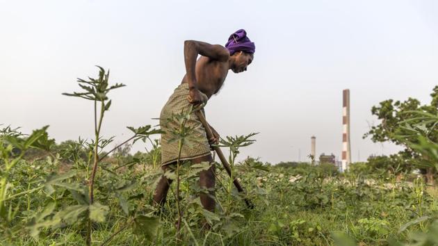 A farmer labours on a field next to the abandoned Matrishri Usha Jayaswal Thermal Power Plant. India’s banks, which have some of the highest stressed asset ratios globally, are under mounting pressure from regulators to clean up their books as the government attempts to revive loan growth and boost the economy. (Prashanth Vishwanathan / Bloomberg) A farmer labours on a field next to the abandoned Matrishri Usha Jayaswal Thermal Power Plant. India’s banks, which have some of the highest stressed asset ratios globally, are under mounting pressure from regulators to clean up their books as the government attempts to revive loan growth and boost the economy. (Prashanth Vishwanathan / Bloomberg)