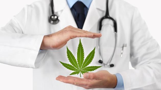 Epidiolex is essentially a pharmaceutical-grade version CBD oil, which some parents already use to treat children with epilepsy.(Shutterstock) Epidiolex is essentially a pharmaceutical-grade version CBD oil, which some parents already use to treat children with epilepsy.(Shutterstock)