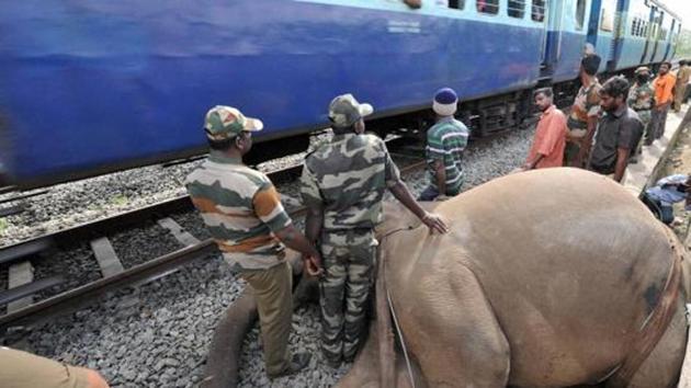 Army personnel and people near the carcass of an elephant which was killed after being hit by a train.(PTI File Photo)