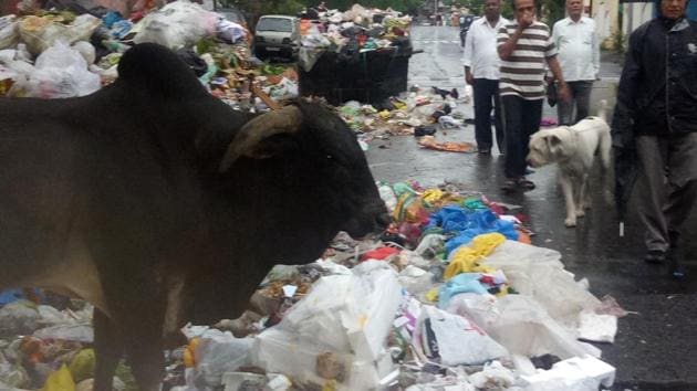 Overflow of Trash in Garbage Container at Athens Street Stock Photo - Alamy