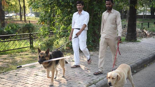 The MC has so far registered 6,600 pet dogs in the city since 2010 but the number is believed to be inaccurate. (HT Photo) The MC has so far registered 6,600 pet dogs in the city since 2010 but the number is believed to be inaccurate. (HT Photo)
