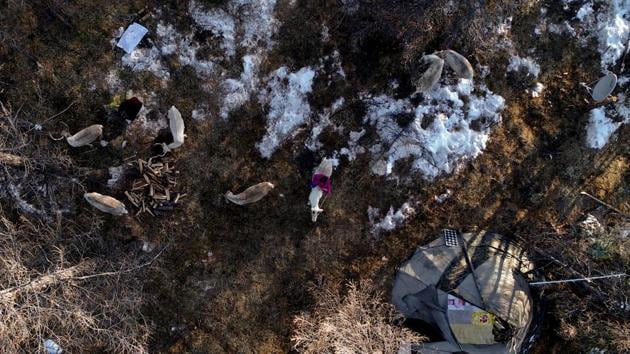 Since mid-June, Inner Mongolia has seen 25% less rainfall.(Reuters File Photo)