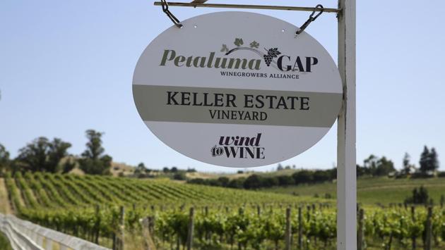 A sign reads from wind to wine at the Keller Estate winery in Petaluma. As areas once ideal for certain grapes become less viable, causing earlier harvests and diminished wine quality as grapes ripen faster, once-iffy sites like the Van Duzer Corridor and Petaluma, both of which suck in ocean breezes, are coming into their own. (Eric Risberg / AP) A sign reads from wind to wine at the Keller Estate winery in Petaluma. As areas once ideal for certain grapes become less viable, causing earlier harvests and diminished wine quality as grapes ripen faster, once-iffy sites like the Van Duzer Corridor and Petaluma, both of which suck in ocean breezes, are coming into their own. (Eric Risberg / AP)