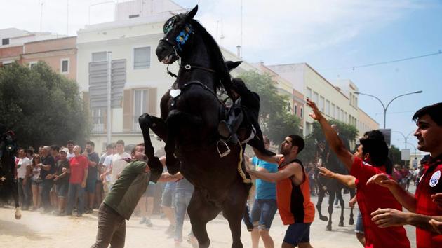 A horse rears in the crowd during the traditional San Juan (Saint John) festival in the town of Ciutadella, on the Balearic Island of Menorca, on the eve of Saint John's day when horses gallop and prance on their hind legs through the streets. The ‘caixers’ (horse riders) ride together in a parade and spectators attempt to pat the horses’ chests to get good luck. (Jaime Reina / AFP) 