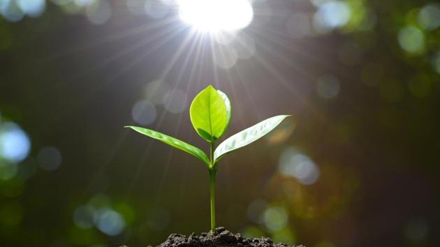 As we go through our lives, we also feel the need for a deeper meaning, realising that we need a purpose for the things that we do. ((iStock)) As we go through our lives, we also feel the need for a deeper meaning, realising that we need a purpose for the things that we do. ((iStock))