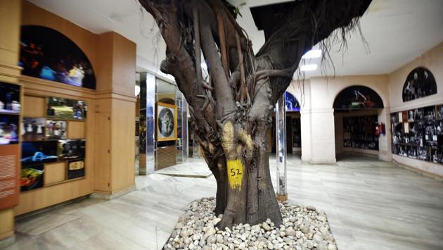 Then there's the iconic Banyan tree in the NSD campus in Delhi, and another that has its trunk and roots located under the main floor. The environment built around it shows the love for its presence inside the campus. (Raj K Raj / HT Photo) Then there's the iconic Banyan tree in the NSD campus in Delhi, and another that has its trunk and roots located under the main floor. The environment built around it shows the love for its presence inside the campus. (Raj K Raj / HT Photo)