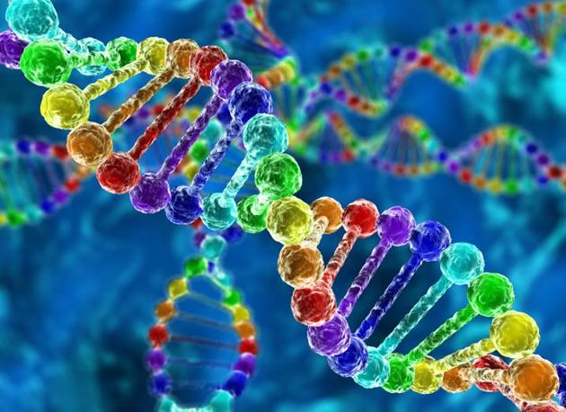 DNA Technology (Use and Application) Regulation Bill 2018, will help in solving crimes and in tracing missing people(Representative Image/Getty Images/iStockphoto)