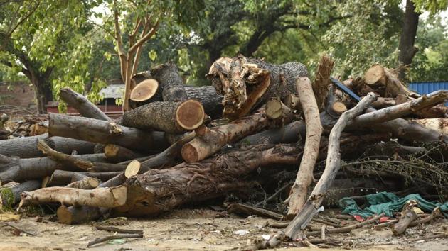 Under construction site of Ministry of Trade and Commerce at New Delhi’s Akbar road where trees have been chopped.(Burhaan Kinu/HT PHOTO)