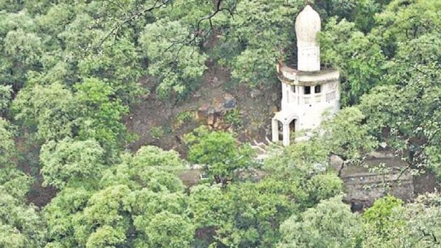 A view of the Mangar Bani forest in the NCR. (HT Photo) A view of the Mangar Bani forest in the NCR. (HT Photo)