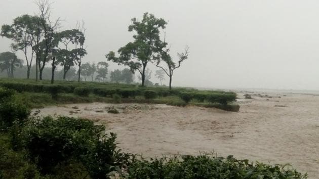The flooded Central Dooars Tea Estate in north Bengal on Thursday. (HT Photo) The flooded Central Dooars Tea Estate in north Bengal on Thursday. (HT Photo)