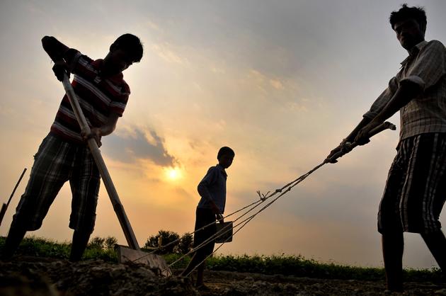 The report also suggested that farmers should have the right to sell at mandis at MSP . (Sunil GHosh/HT File Photo) The report also suggested that farmers should have the right to sell at mandis at MSP . (Sunil GHosh/HT File Photo)