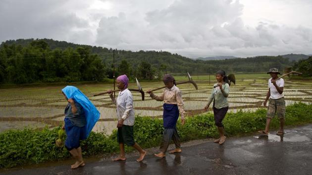 Farmers return home after working in a paddy field on a rainy day at Umwang village in the outskirts of Guwahati on July 3, 2018. (Anupam Nath / AP)