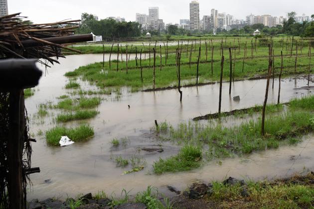 The plot at the centre of controversy at Sector-24, Kharghar in Navi Mumbai as seen on Saturday. (HT Photo) The plot at the centre of controversy at Sector-24, Kharghar in Navi Mumbai as seen on Saturday. (HT Photo)