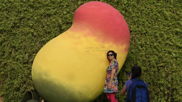 A woman gets her photograph clicked during the festival. Over the years, the festival has shifted venues many times -- Talkatora Indoor Stadium, Ashoka Hotel, Pragati Maidan, and then in 2010 to Dilli Haat, Pitampura. From past three years it has been organised at Delhi Haat, Janakpuri. (Burhaan Kinu / HT Photo)
