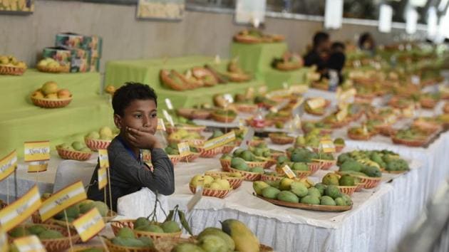 Mango fiesta sales navidad 2019