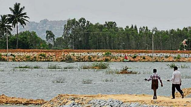 The treated waste water has led to the increase in water levels of Kolar’s Lakshmisagara lake, a sight villagers say they hadn’t seen for years. Locals remain wary of the project after rumours spread that cattle have died after drinking the treated water.(Arijit Sen/HT Photo) The treated waste water has led to the increase in water levels of Kolar’s Lakshmisagara lake, a sight villagers say they hadn’t seen for years. Locals remain wary of the project after rumours spread that cattle have died after drinking the treated water.(Arijit Sen/HT Photo)