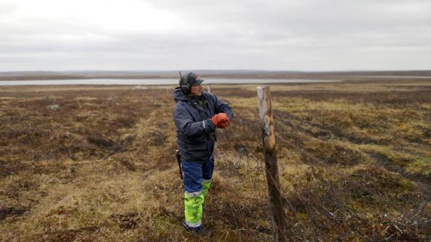 Nils Mathis Sara repairs a fence in the Finnmark Plateau, Norway. When he’s not out on the Arctic tundra with his 2,000 reindeer and his dog, Sara is busy explaining to people how a planned copper mine threatens his livelihood. Along with other herders and fishermen, the 60-year-old is in a standoff with the mine owners, Norwegian officials and many towns people that is, after six years, coming to a head. (Stoyan Nenov / REUTERS)