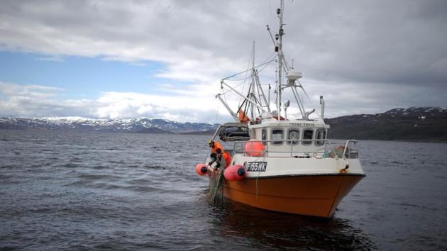 Local officials gave the green light for the privately-owned Nussir copper project back in 2012 on the grounds it would bring in much-needed jobs and funds. It has been stuck ever since. Nussir said the area contains 72 million tonnes of copper -- Norway’s largest reserve -- and has planned more than 1 billion crowns ($124 million) in investment. (Stoyan Nenov / REUTERS)