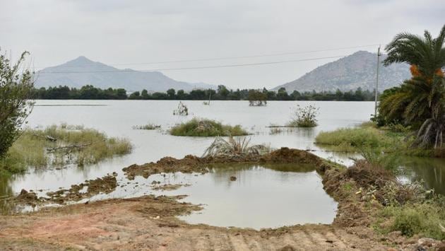 Scepticism over the project led to a PIL in the Karnataka High Court seeking further quality tests of the treated waste water before the target of filing 126 tanks is met. Brushing aside fears, the Minor Irrigation Department’s principle secretary R Rudraiah quoted studies conducted by the Karnataka State Pollution Control Board at both the lakes to argue that the treated water was fit for fisheries and wildlife. (Arijit Sen / HT Photo) Scepticism over the project led to a PIL in the Karnataka High Court seeking further quality tests of the treated waste water before the target of filing 126 tanks is met. Brushing aside fears, the Minor Irrigation Department’s principle secretary R Rudraiah quoted studies conducted by the Karnataka State Pollution Control Board at both the lakes to argue that the treated water was fit for fisheries and wildlife. (Arijit Sen / HT Photo)