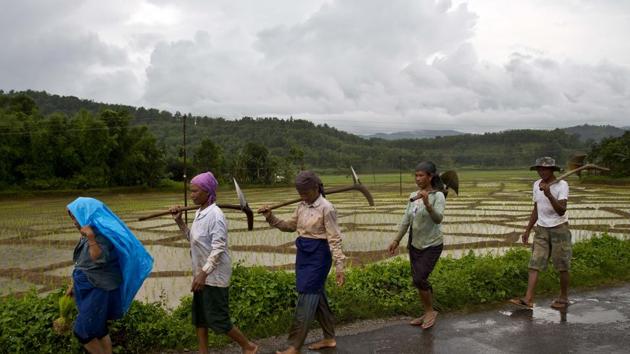 Farmers return home after working in a paddy field on a rainy day on the outskirts of Guwahati in Assam. A majority of India’s workforce is still employed in subsistence farming.(AP File)