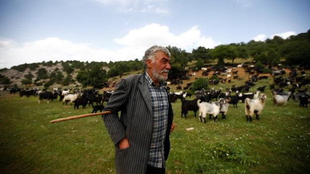 Ramazan Gobut walks with the family’s herd of goats near Konya. The Gobuts are a family of eight spread over three generations. They spend six months a year on the road and live in tents made of goat fur. They leave the southern province of Mersin in late April each year and arrive 600-km north in the central province of Konya in July, only to start the return trip a few days later. (Osman Orsal / REUTERS) Ramazan Gobut walks with the family’s herd of goats near Konya. The Gobuts are a family of eight spread over three generations. They spend six months a year on the road and live in tents made of goat fur. They leave the southern province of Mersin in late April each year and arrive 600-km north in the central province of Konya in July, only to start the return trip a few days later. (Osman Orsal / REUTERS)