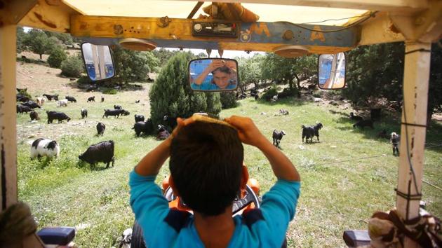 Yunus Gobut combs his hair as he sits inside a tractor. His sister-in-law Rukiye gave birth to her first son in April and a few days later was out shepherding the goats with her son in her arms. (Osman Orsal / REUTERS) Yunus Gobut combs his hair as he sits inside a tractor. His sister-in-law Rukiye gave birth to her first son in April and a few days later was out shepherding the goats with her son in her arms. (Osman Orsal / REUTERS)