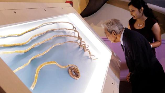 Shridhar Chillal stands with his grand daughter Shraddha Chillal at an announcement that the five fingernails he grew for 66 years will be displayed in Ripley’s Believe it or Not in New York on July 11, 2018. (Lucas Jackson / REUTERS) Shridhar Chillal stands with his grand daughter Shraddha Chillal at an announcement that the five fingernails he grew for 66 years will be displayed in Ripley’s Believe it or Not in New York on July 11, 2018. (Lucas Jackson / REUTERS)