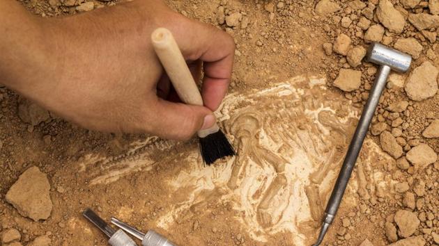 The state archaeological department will examine the gold coins found during earth-digging for a road construction in Chhattisgarh.(Representative Image/Getty Images/iStockphoto)